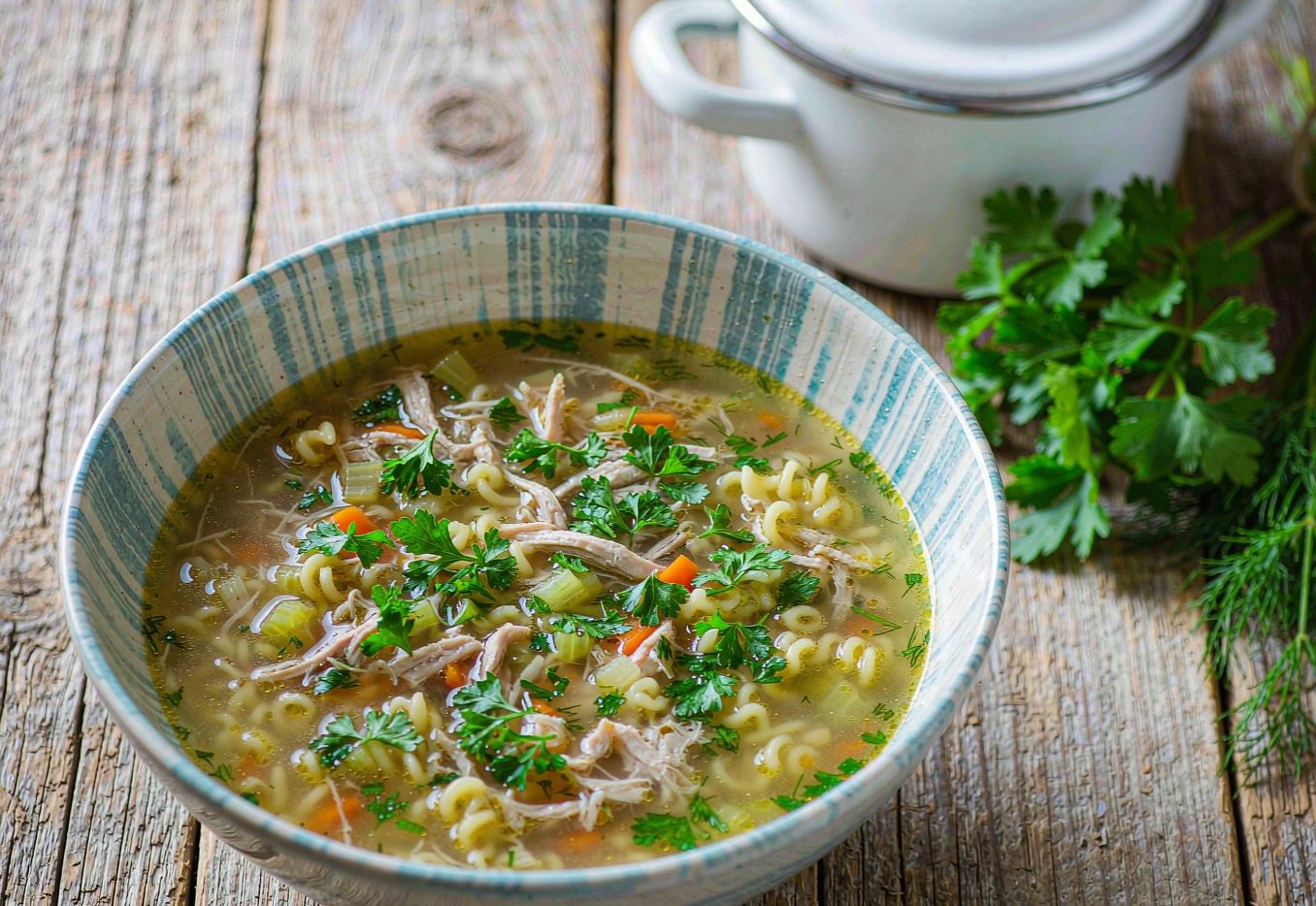 Bowl of chicken noodle soup with shredded chicken egg noodles carrot and fresh herbs